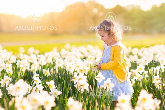Little girl in daffodil field
