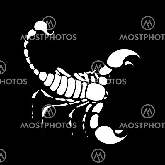 Scorpio zodiac sign in horoscope. Vector hand drawing...