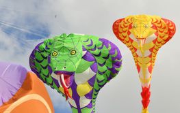 Kite festival. Kites in the sky in a Dieppe