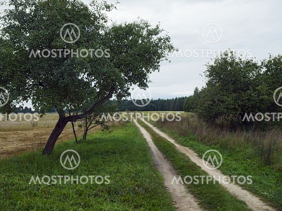 rural road