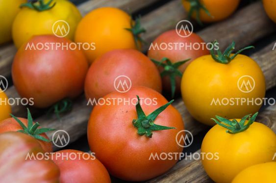 Tomatoes
