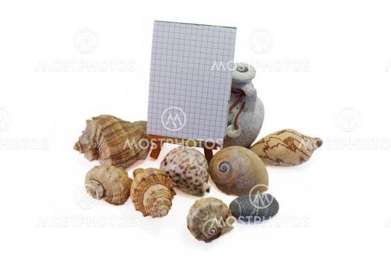 Frame made from shells