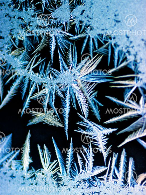 Frost on a window pane