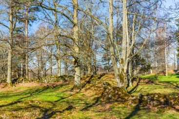 Beautiful spring landscape with stone walls in a forest