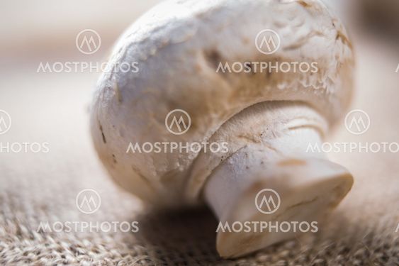 Champignon on wooden background