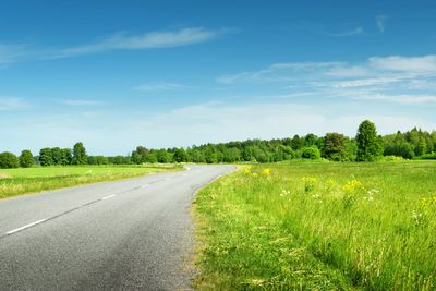 Road panorama on sunny summer day