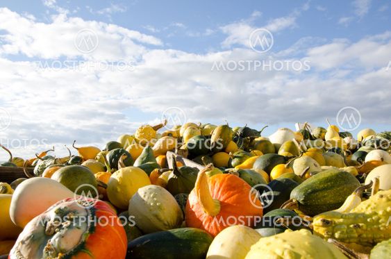 Stack of colored pumpkins