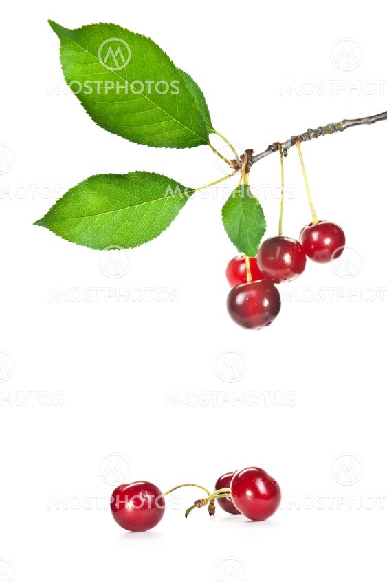 cherrys