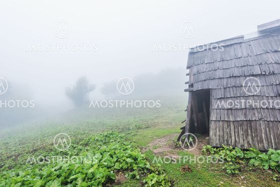 Shepherds hut.
