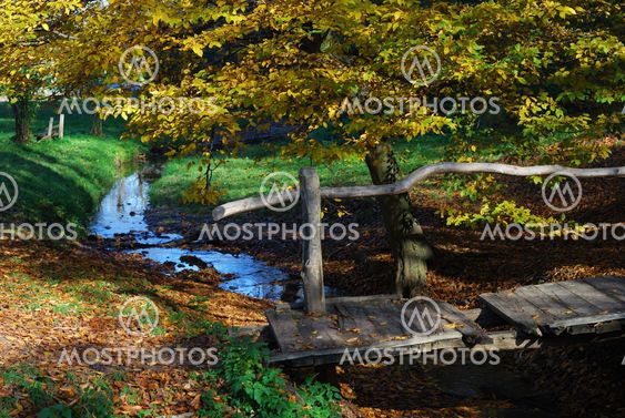 Wooden bridge and stream