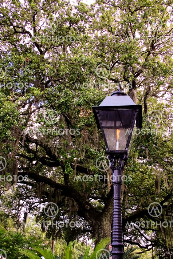 Gas Light