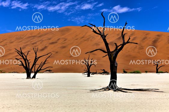 dead trees in front of a orange dune in deadvlei namib naukluft national park