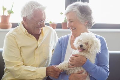 Senior couple holding a dog