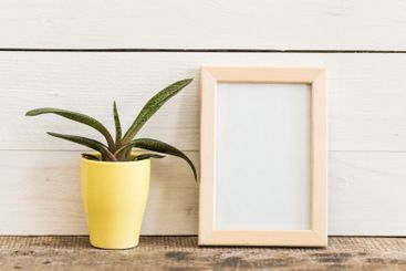 Simple home decoration with a yellow pot and empty...
