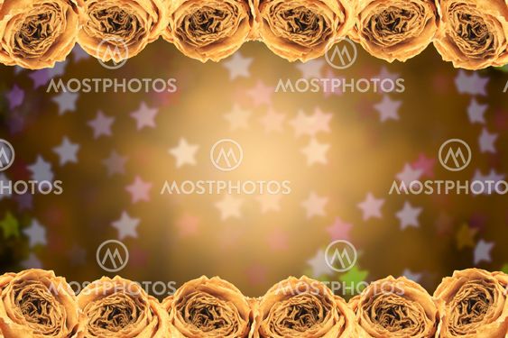 dry white rose frame on blur star bokeh
