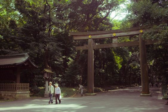 Meiji Shrine