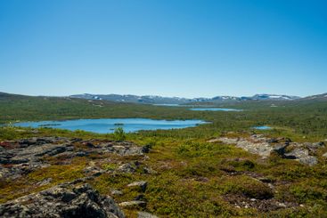 View from the vast Swedish highlands in summer sunlight