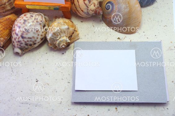 Pictures In A Beach Concept