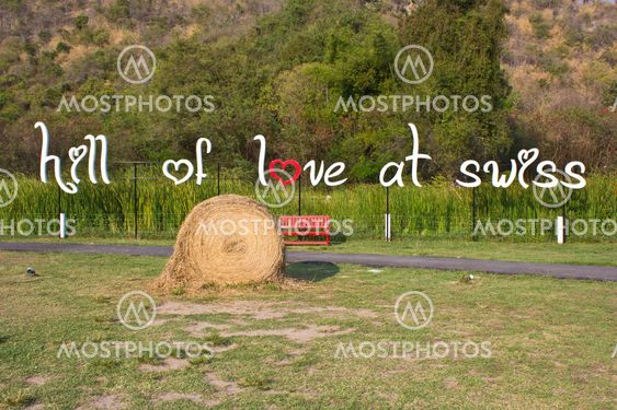 circle straw1
