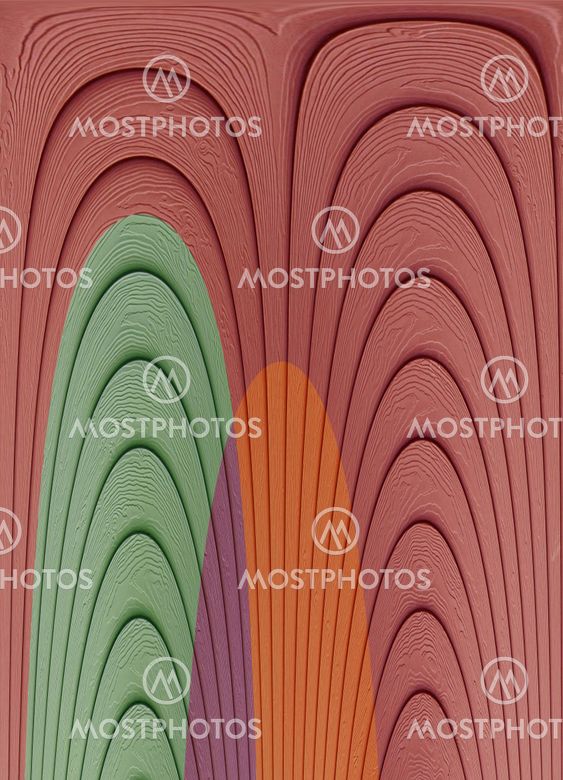 colorful wood board