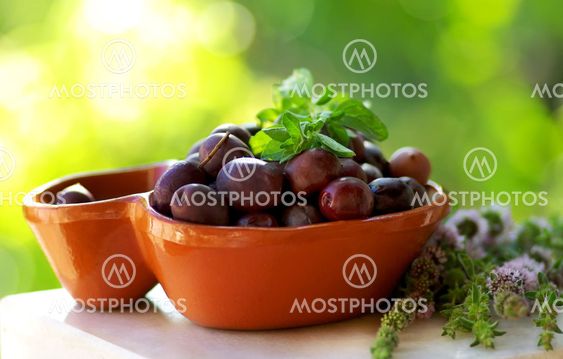 Portuguese olives and aromatic herbs.