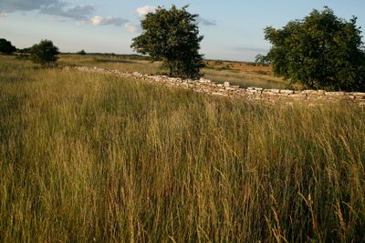 Utsikt över Alvaret