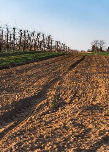 An empty field just before sunset on a sunny early...