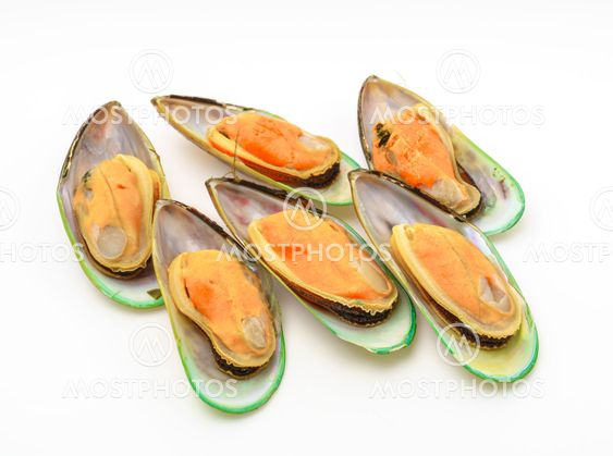 Fresh mussel on white background .