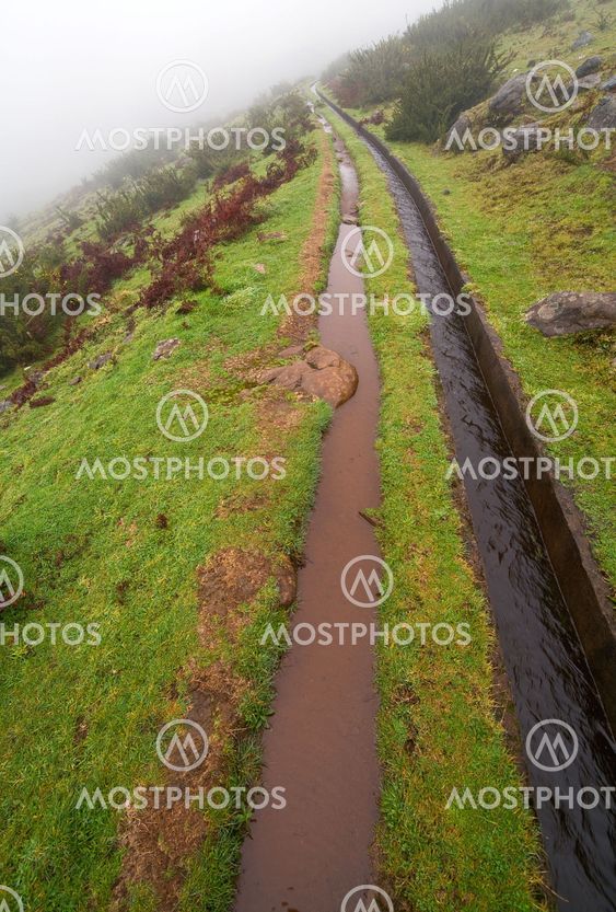 Levada