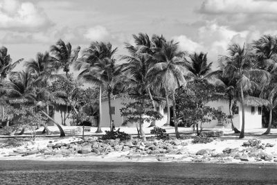 Small and Coloured Homes on the Coast of Santo Domingo