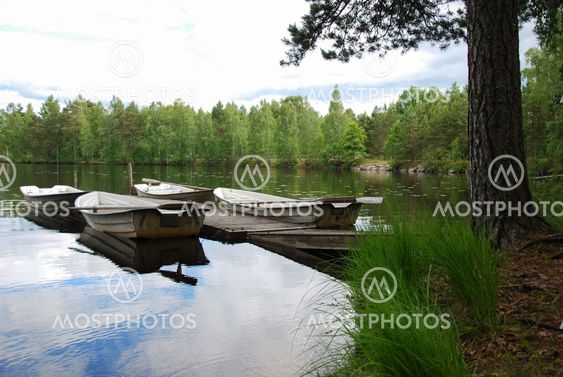 Peaceful lake view