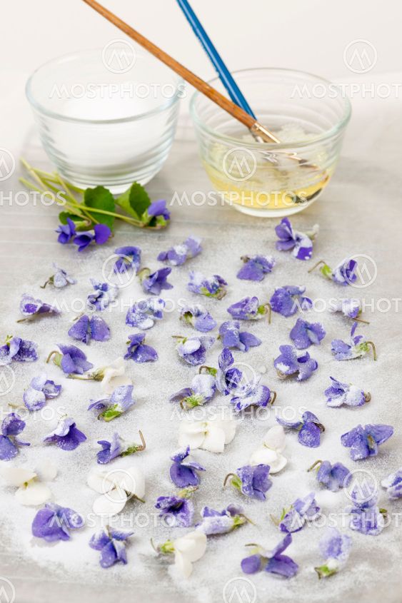 Making candied violets