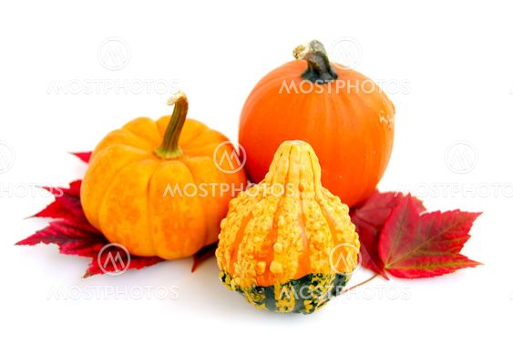 Mini pumpkins