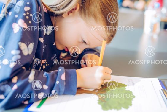 Little girl recognizes tree species on the basis of...