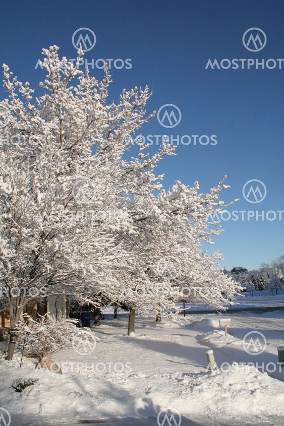 vinter scenen på en solskinsdag