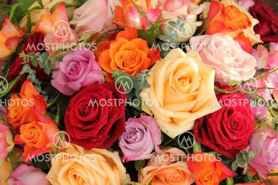 Colorful rose bouquet