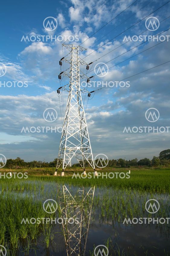 High voltage pylon in paddy
