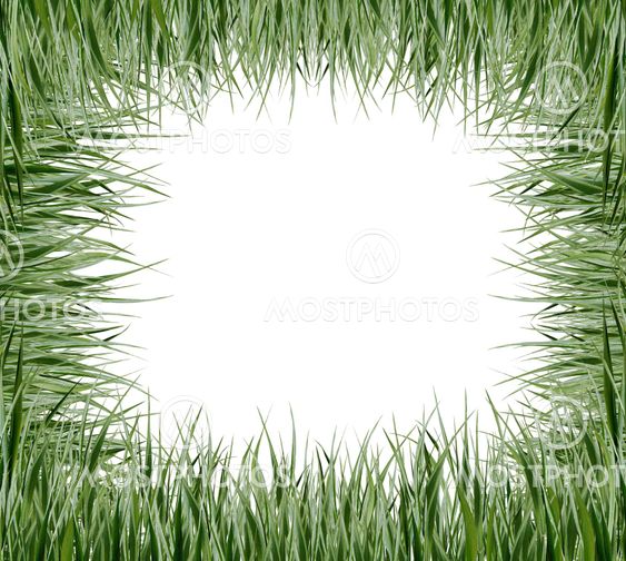 Background with green grass isolated on white
