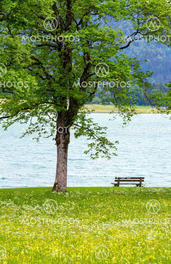 Achensee summer landscape (Austria).