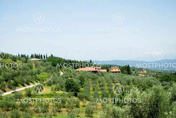 Traditional landscape