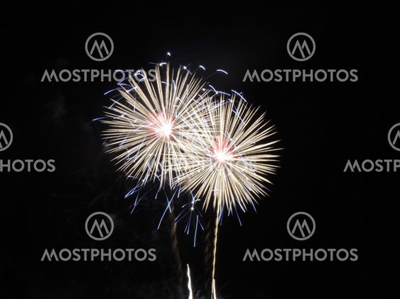 Fireworks - White