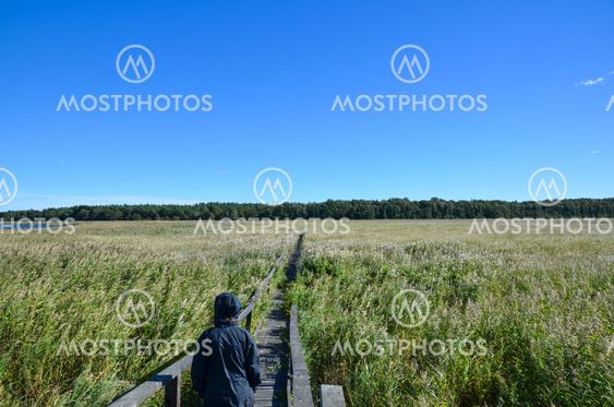 Walking in the reeds