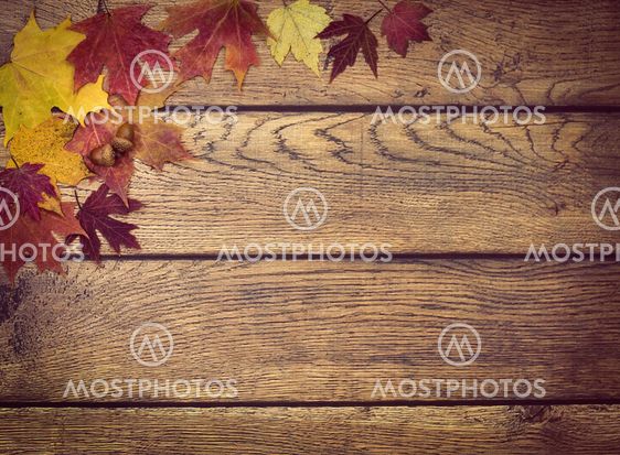 Autumn leaves and acorns on rustic wooden background