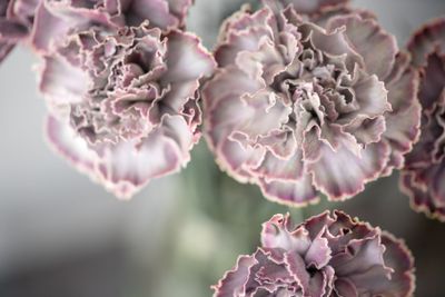 Lovely flowers in glass vase. Beautiful bouquet of...