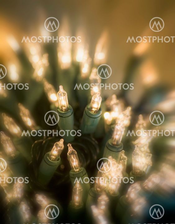 Winter Holiday Lights