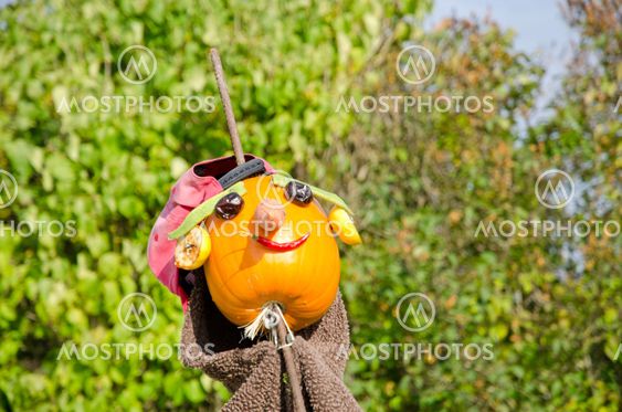 Scarecrow head of vegetabiles