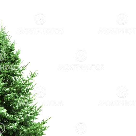 Christmas card
