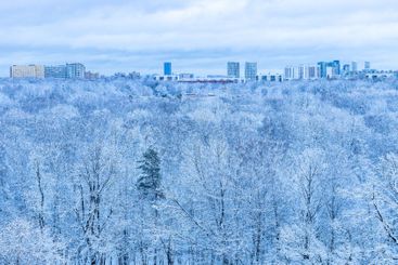snowy city park and town in blue winter dusk