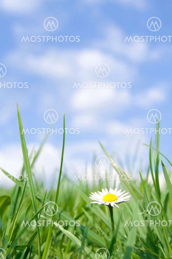 Beautiful nature