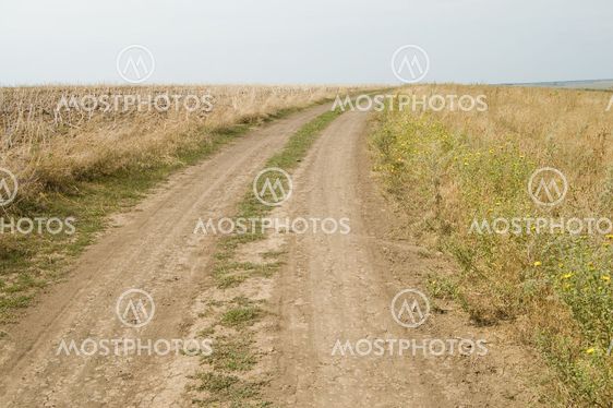 rural road